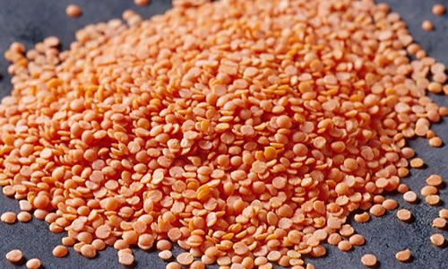 1. Kalite Kirmizi Mercimek Yaprak 25 Kg Paket